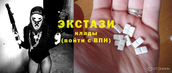 гидра Богданович