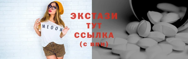 гидра Богданович