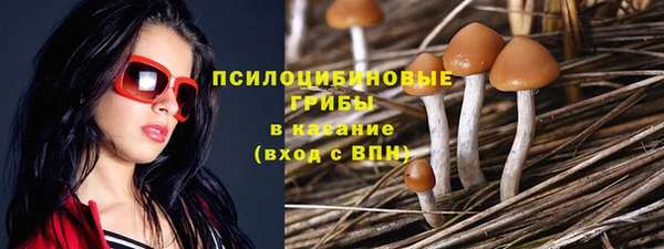 СК Арсеньев