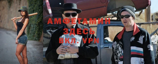 гидра Богданович