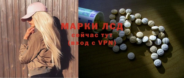 гидра Богданович