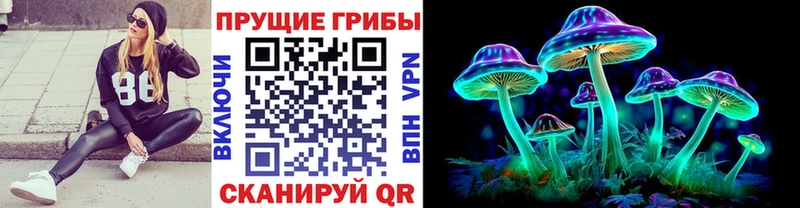 Купить закладки Любим Псилоцибиновые грибы Psilocybine cubensis